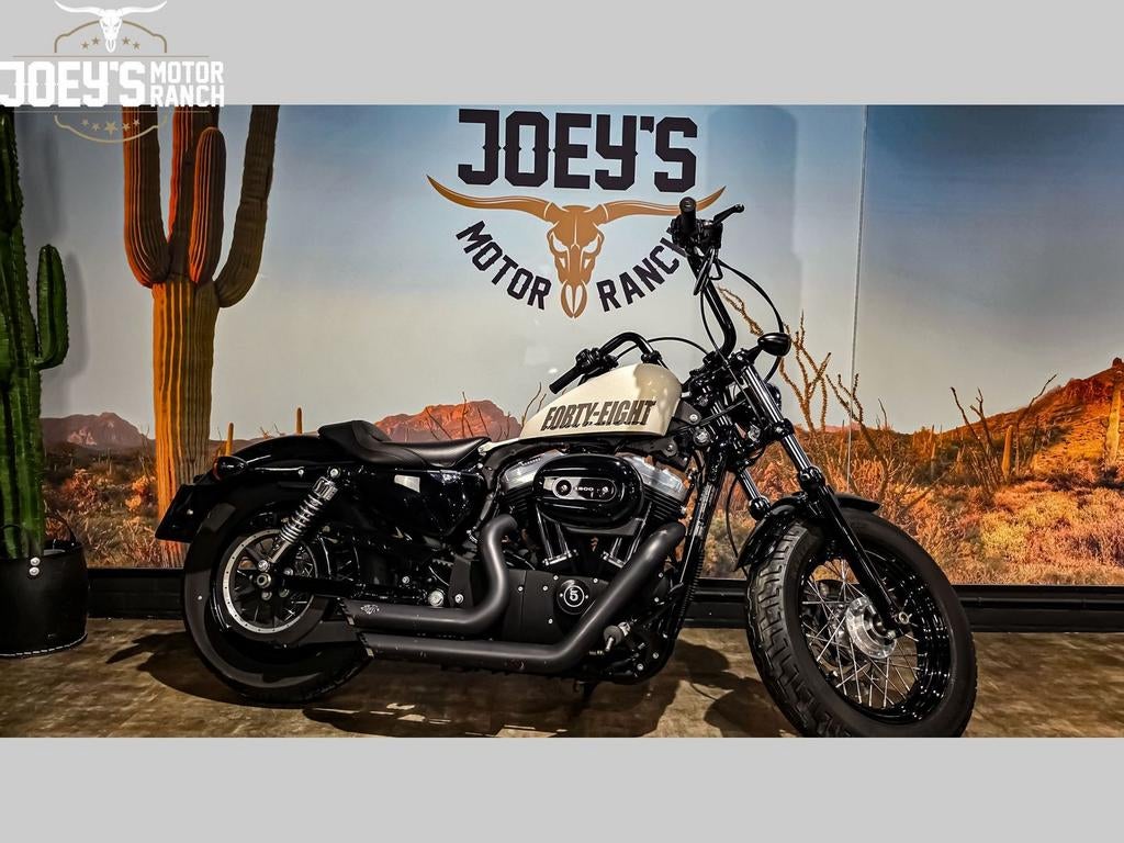 HARLEY-DAVIDSON SPORTSTER FORTY-EIGHT XL 1200 X (bj 2010), 2 cilinders, HARLEY-DAVIDSON, Bedrijf, Meer dan 35 kW
