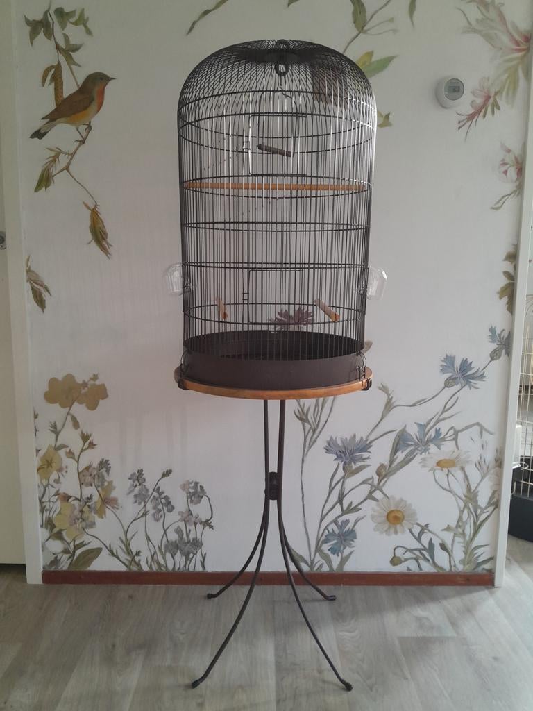 Zolux retro vintage vogelkooi Marthe met standaard, Dieren en Toebehoren, Vogels | Hokken en Kooien, Ophalen, Metaal, Vogelkooi