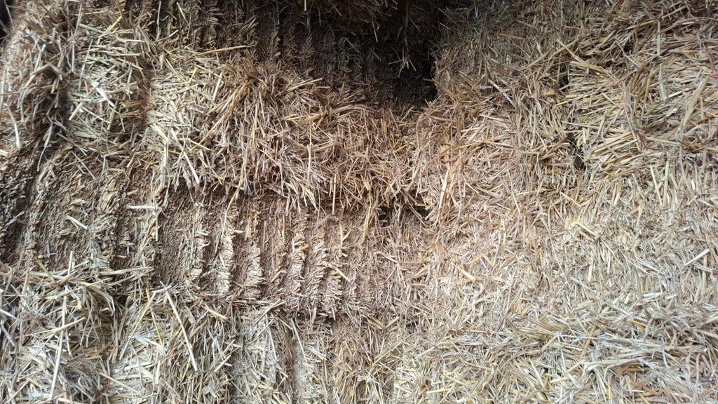 Te koop kleine pakjes stro oogst 2025, Dieren en Toebehoren, Ophalen, Vee