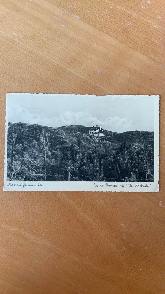 Ansichtkaart Noordwijk aan zee in de duinen bij de Koekoek, Ophalen of Verzenden, 1940 tot 1960, Zuid-Holland