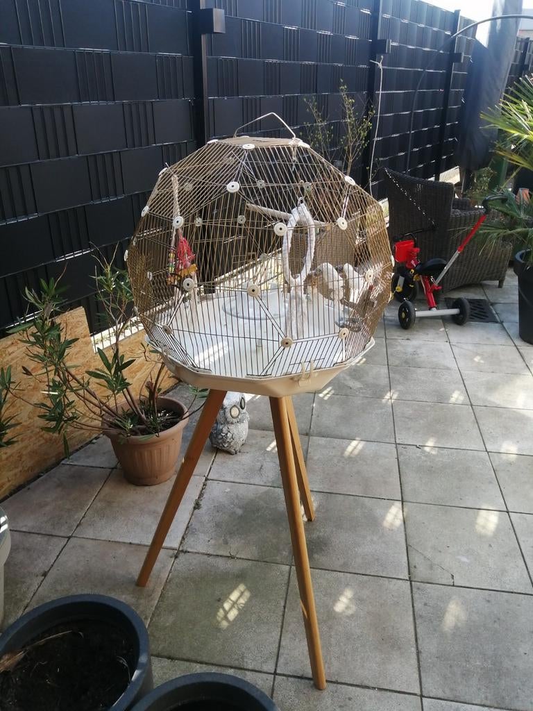 Geo Omlet vogelkooi  met accessoires, Ophalen, Zo goed als nieuw, Metaal, Vogelkooi