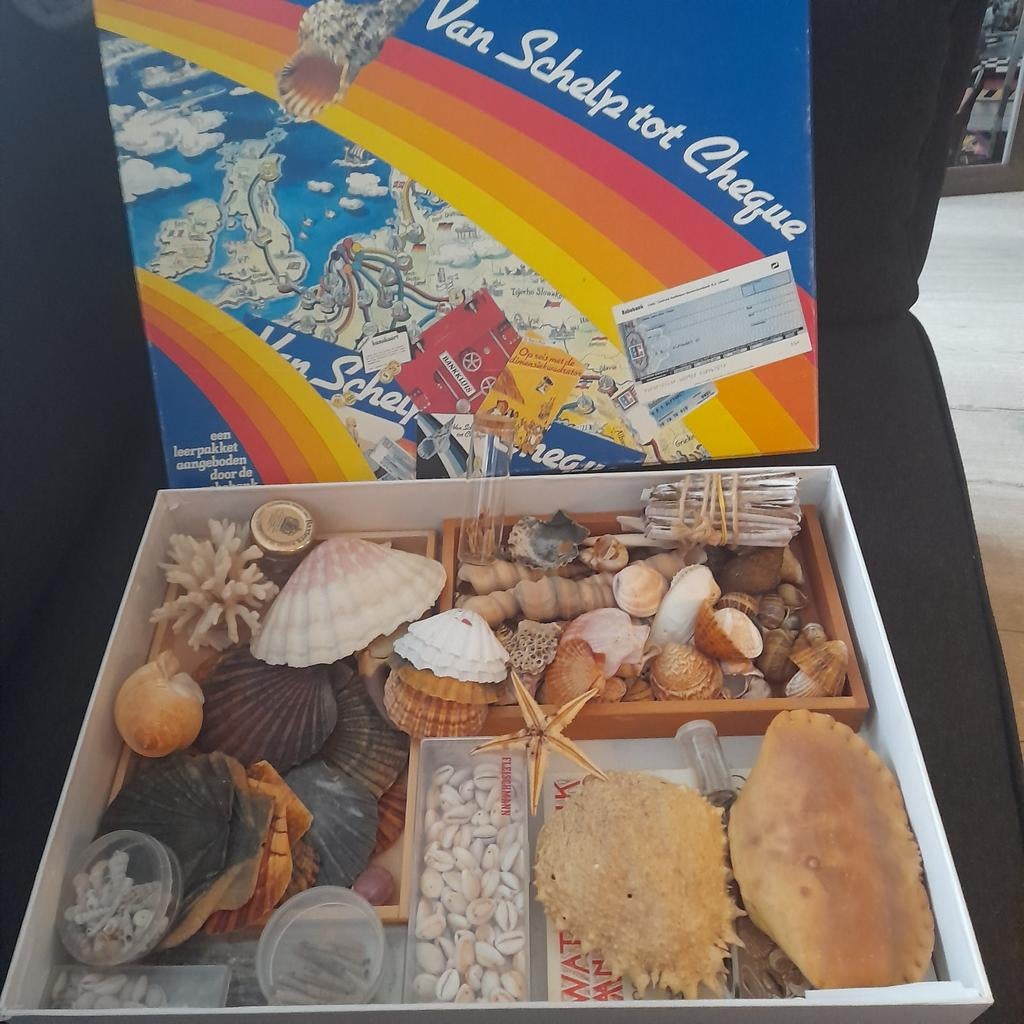 Van schelp tot cheque Rabobank verzameldoos 2 schelpen e.d., Verzamelen, Mineralen en Fossielen, Ophalen of Verzenden, Schelp(en)