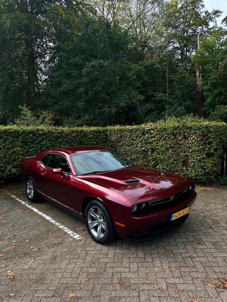 Dodge Challenger 2020, Auto's, Dodge, Automaat, 309 pk, Particulier, Geïmporteerd