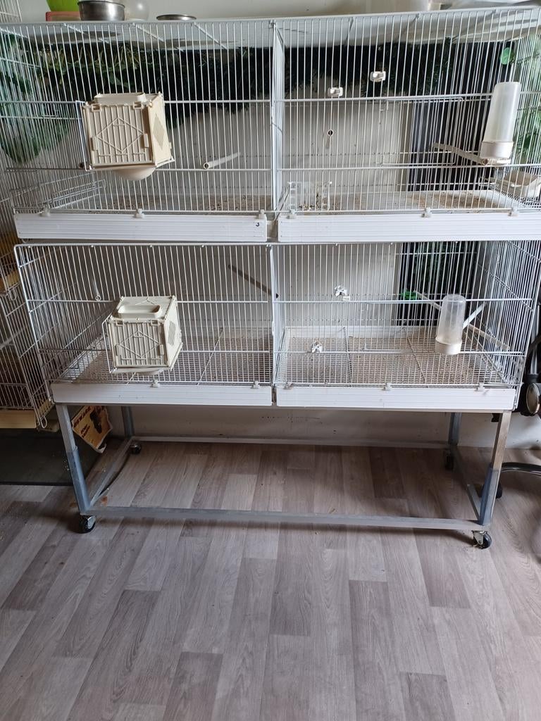 Xl broed toren zgan met nestkastjes en voertrog, Ophalen of Verzenden, Zo goed als nieuw, Hout, Broedkooi of Kweekkooi