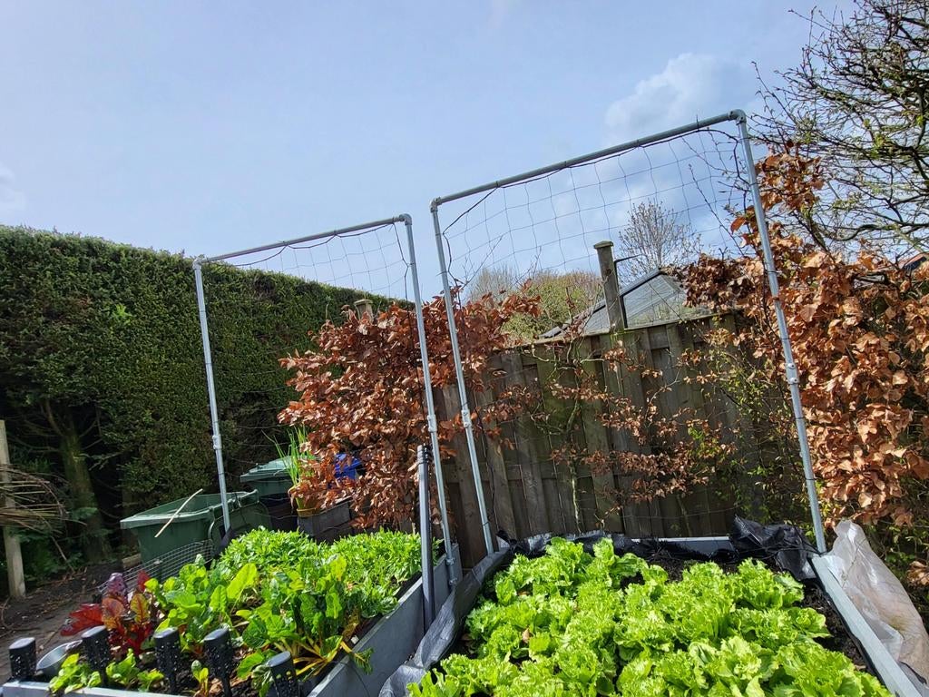 Klimrek voor moestuinbak, Ophalen, IJzer, Tuinhek