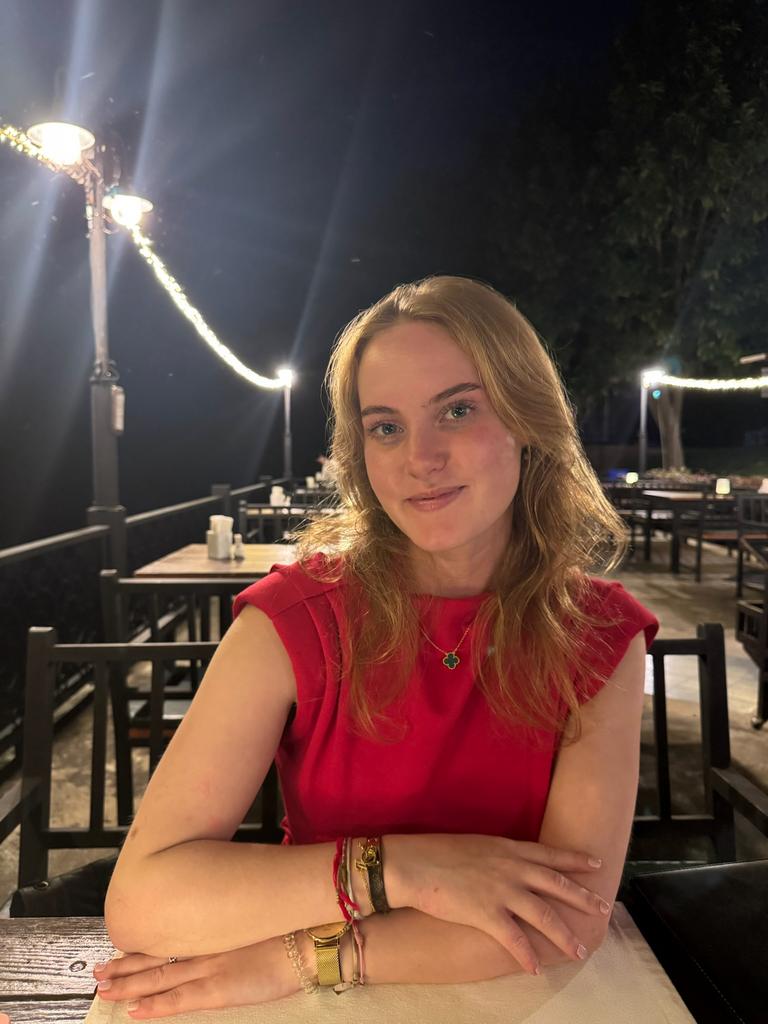 Bijles aangeboden, Bijles