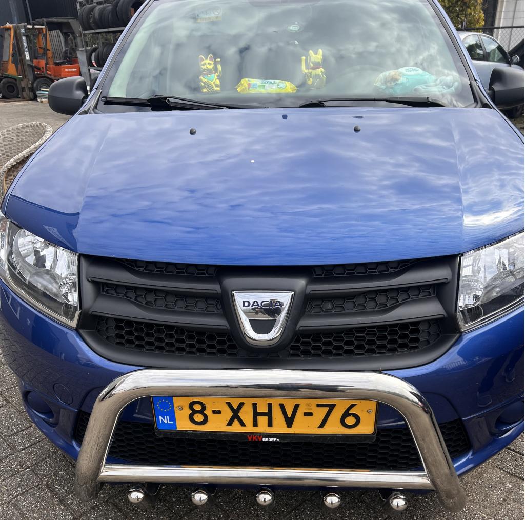 Dacia Logan Pushbar Bullbar met carterbescherming