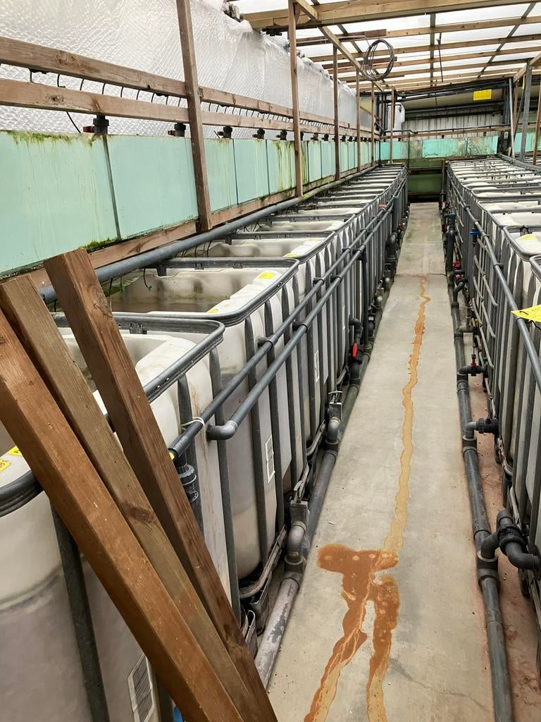 Kweek containers, Tuin en Terras, Kweekspullen, Ophalen, Gebruikt