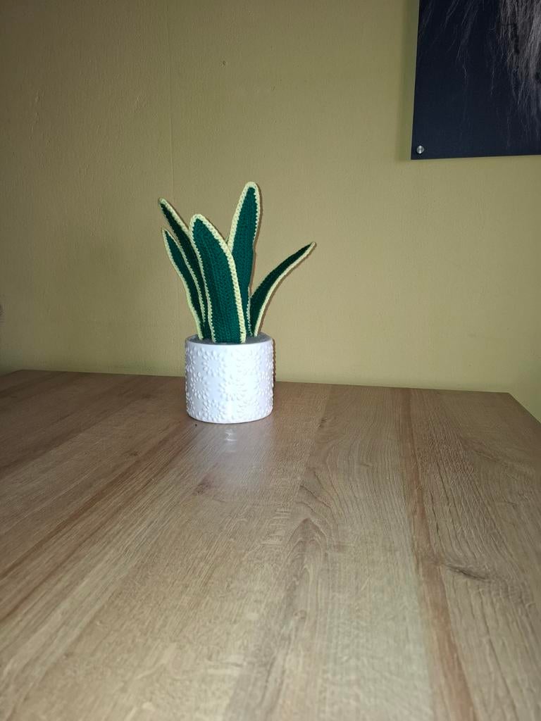 Gehaakte sanceveria, Verzenden, Nieuw