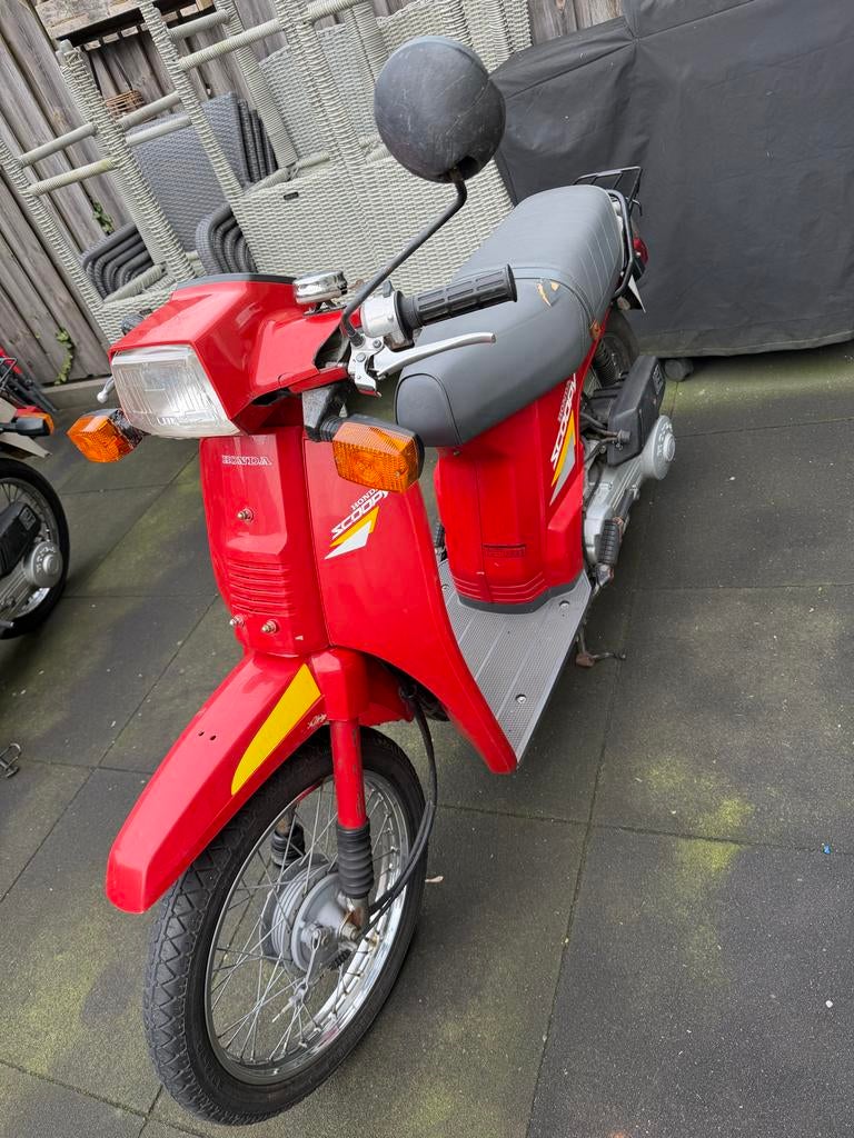 Honda Scoopy, Ophalen, Gebruikt, Overige typen, Overige merken