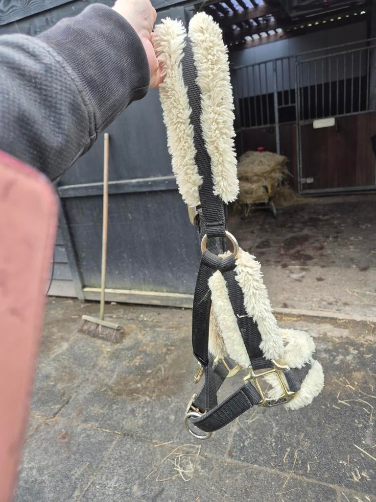 Kentucky halster maat pony, Dieren en Toebehoren, Ophalen of Verzenden, Overige soorten