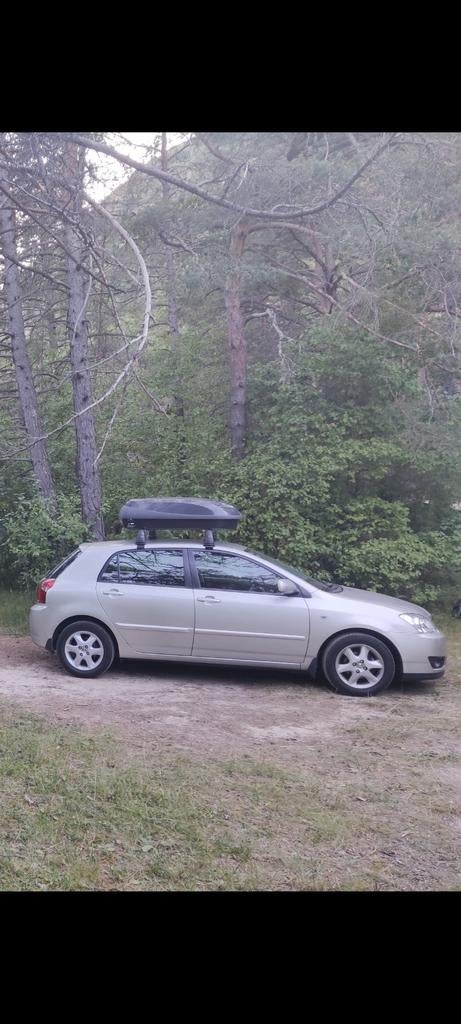 Dakkoffer 300 liter, Auto diversen, Dakkoffers, Ophalen, Gebruikt