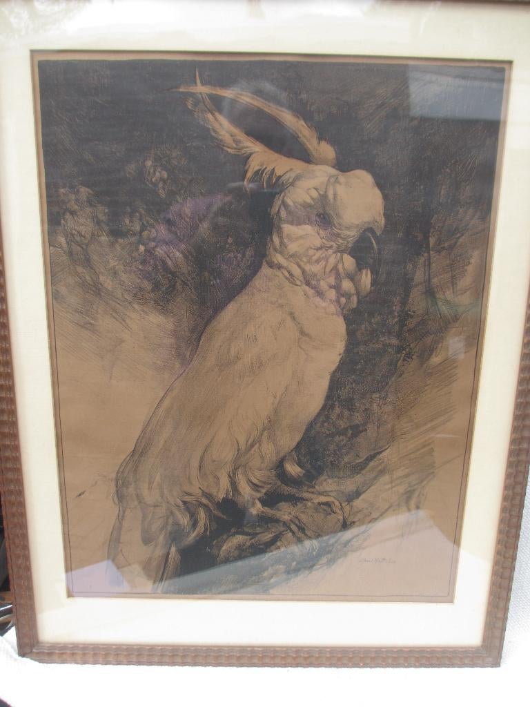 Litho KAKETOE Adriaan van 't Hoff 1923, Ophalen of Verzenden