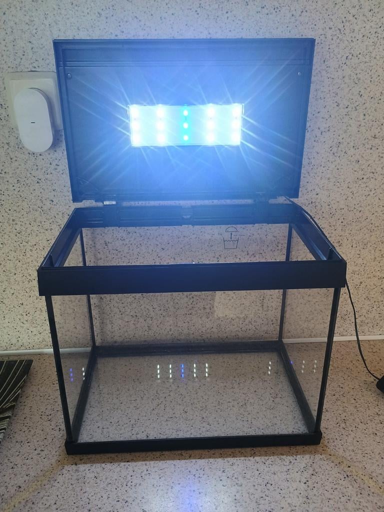 Vissenkom met licht incl. Accessoires, Ophalen, Zo goed als nieuw