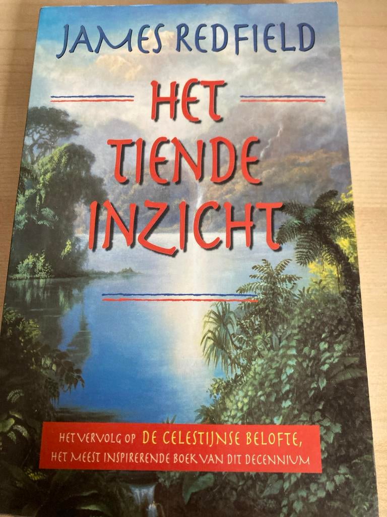 Het Tiende Inzicht - James Redfield, Ophalen of Verzenden, Gelezen, Spiritualiteit algemeen, Verhaal of Roman
