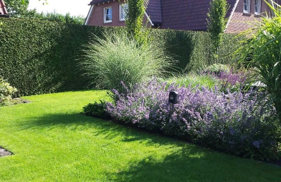 Tuinaanleg en tuin onderhoud, Tuin en Terras, Ophalen of Verzenden, Nieuw, 20 m² of meer