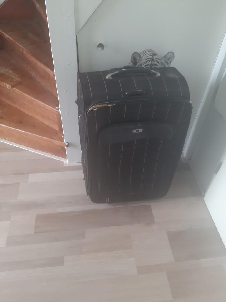 Nog een koffer staan zo ophalen, Ophalen, Hard kunststof