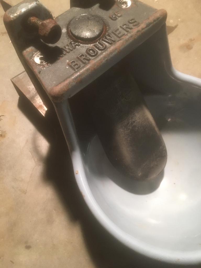 Drinkbak, Dieren en Toebehoren, Weidegang