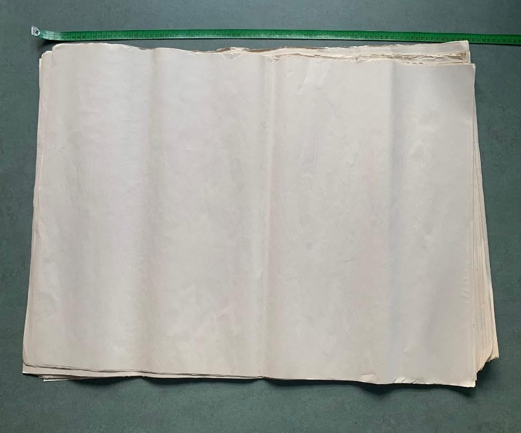 50 stevige vellen patroontekenpapier., Ophalen, Nieuw, Overige typen