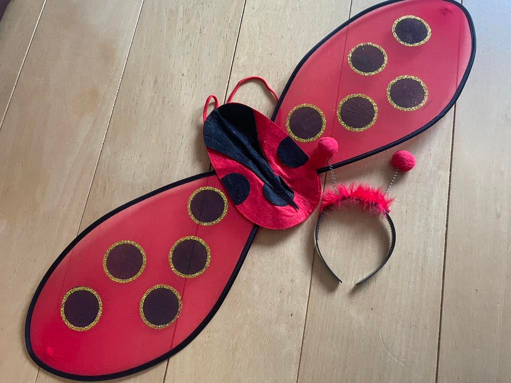 Lieveheersbeestje vleugels en diadeem, Ophalen of Verzenden, Zo goed als nieuw, Jongen of Meisje