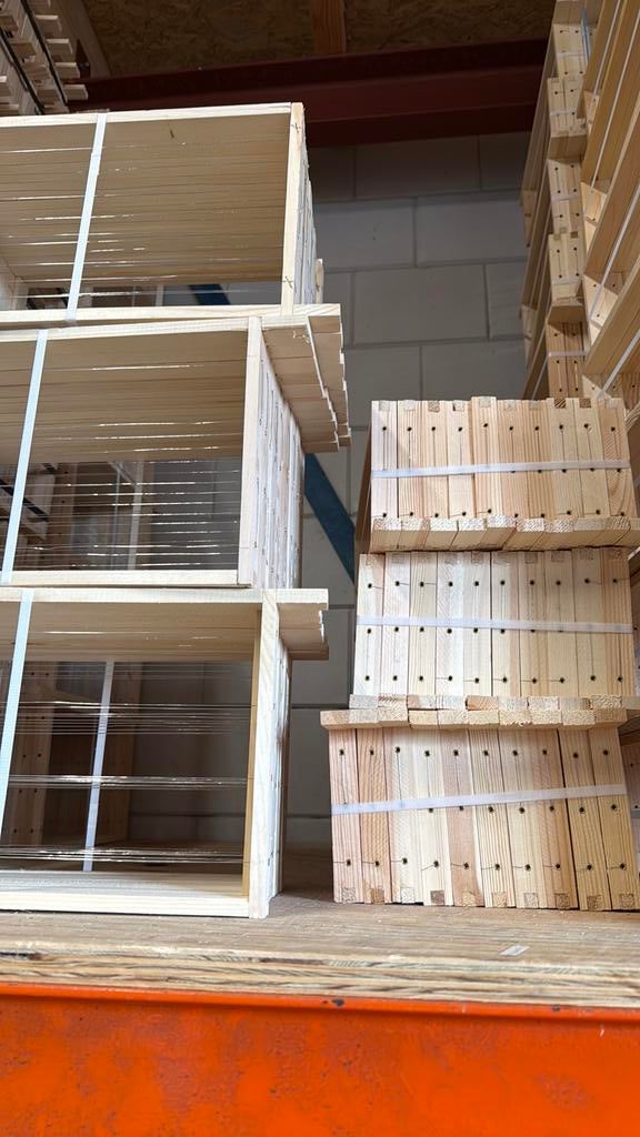 Nederlandse simplex ramen, Bijen