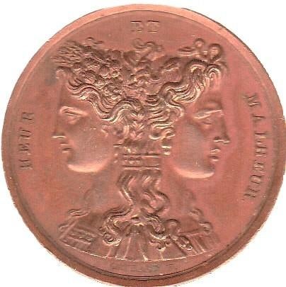 HEUR  ET  MALHEUR  FRANKRIJK,  MEDAILLE ,   NAPOLÈON IER, Ophalen of Verzenden, Overige materialen