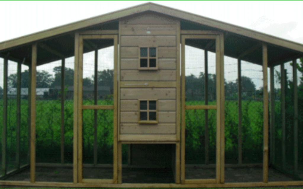 Volière kippenhok nieuw ook maatwerk  🦜🦩🐓, Ophalen, Nieuw, Hout, Volière