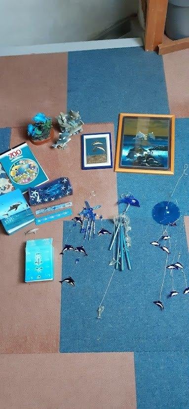 dolfijn spullen, Ophalen of Verzenden, Gebruikt