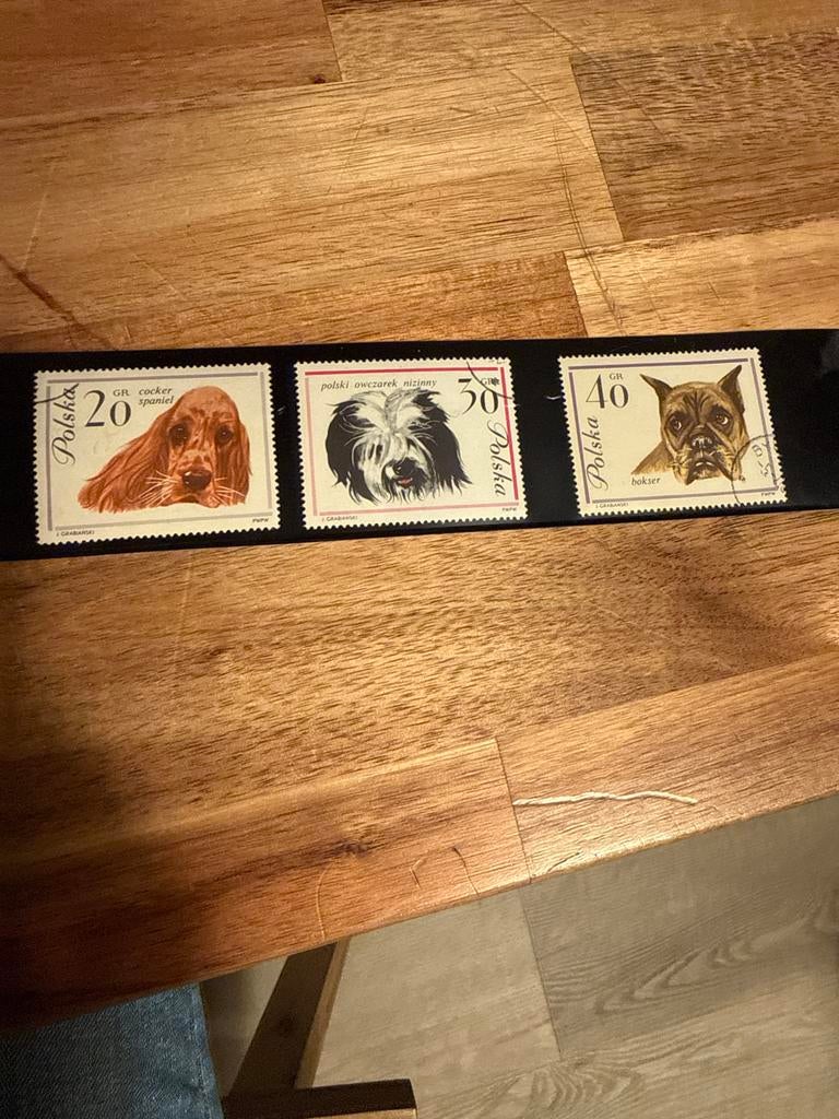 Poolse Postzegels met Honden, Ophalen of Verzenden