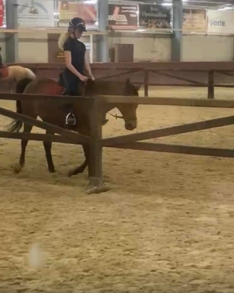 Lieve Betrouwbare verzorger aangeboden!, Ophalen of Verzenden, Nieuw