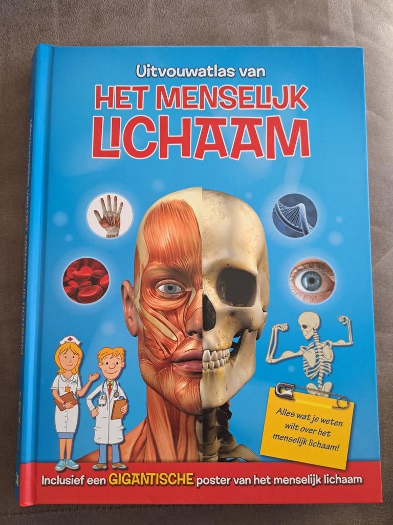 Uitvouwatlas van Het Menselijk Lichaam, Ophalen of Verzenden, Zo goed als nieuw, Yoyo Books, Non-fictie