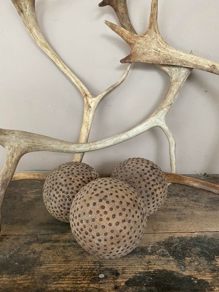 3 antiek franse petanque of jeux de boule, houten ballen, Antiek en Kunst, Ophalen of Verzenden