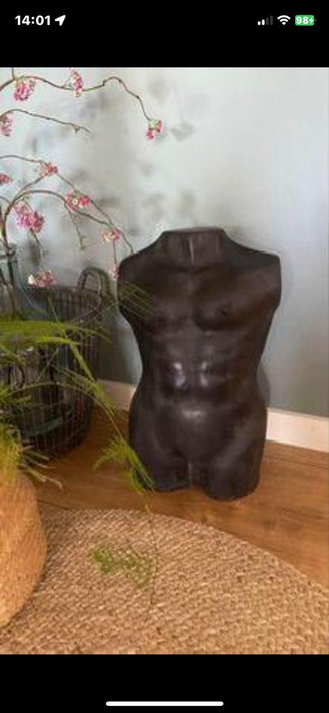 Mannen torso decoratie, Ophalen
