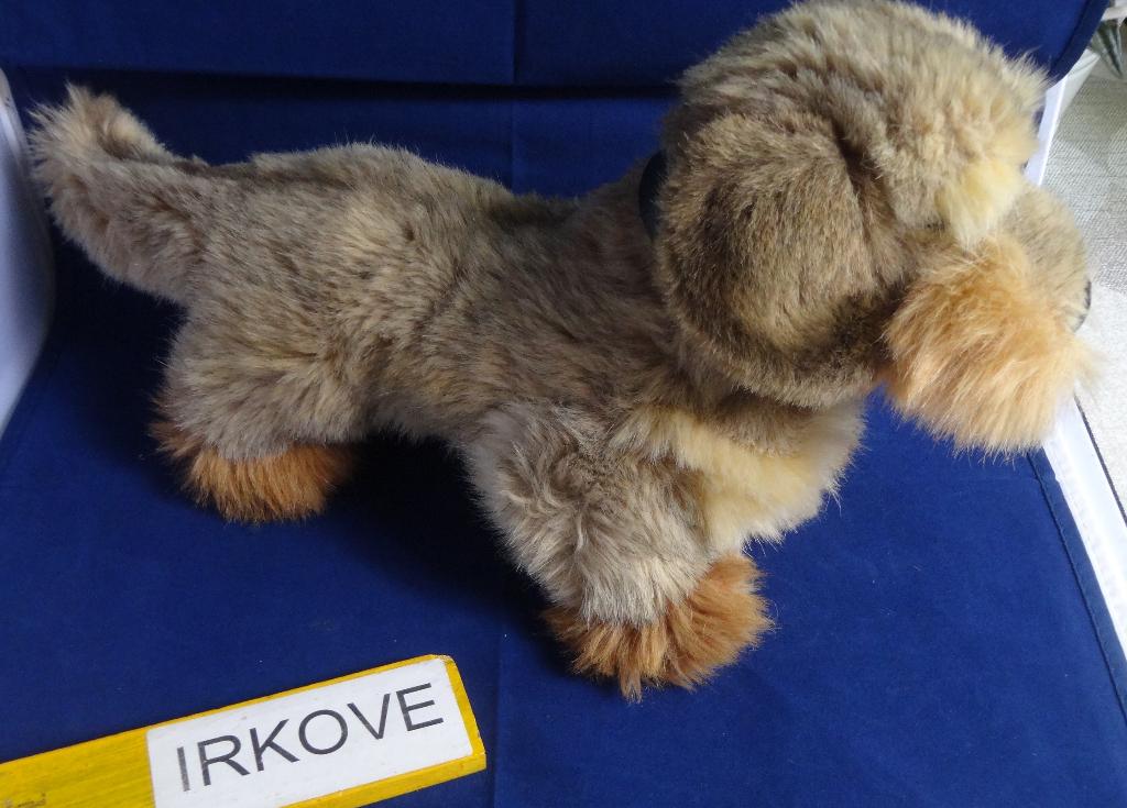 STEIFF DASHOND OF TECKEL RUWHARIG * Nieuwstaat *, Verzenden, Zo goed als nieuw, Stoffen beer, Steiff