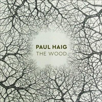 PAUL HAIG CD THE WOOD ex Josef K billy mackenzie, Ophalen of Verzenden, Zo goed als nieuw