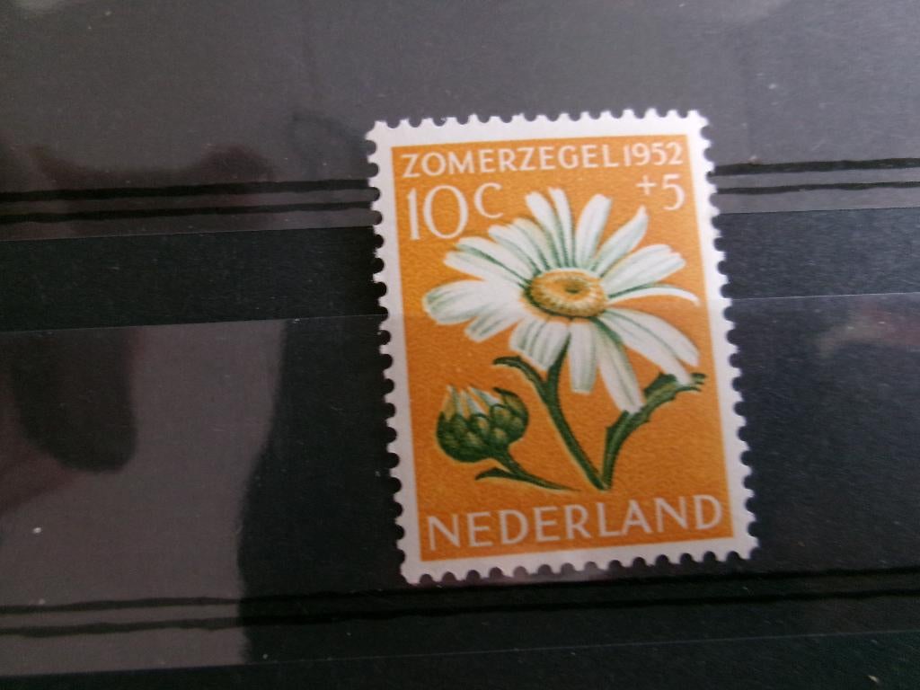 1952 - zomerzegel 10 + 5 ongebruikt (141f), Verzenden, Postfris