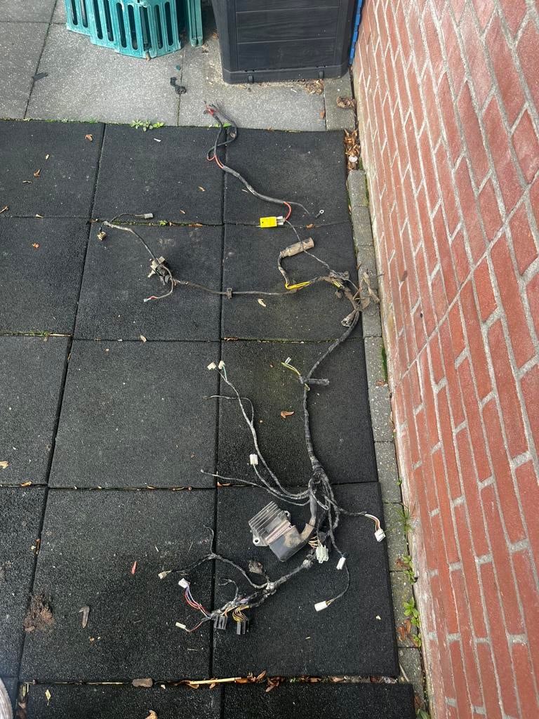 Gilera runner kabelboom DD 125/180cc, Ophalen of Verzenden