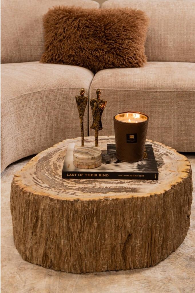 Salontafel versteend hout, Ophalen, Info@ptmd.nl, Nieuw, Aalsmeer