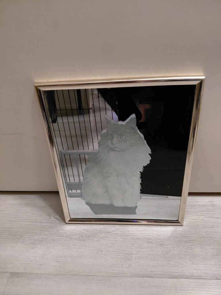 Spiegel white cat vintage 80s hollywood regency rare, Huis en Inrichting, Woonaccessoires | Spiegels, Minder dan 50 cm, Gebruikt