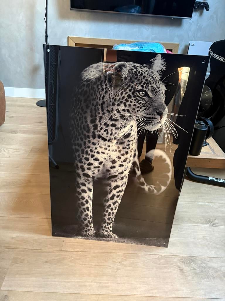 Luipaard schilderij, nog helemaal nieuw, Ophalen, Nieuw