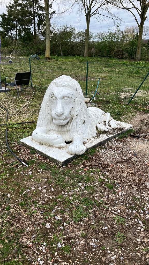 Grote betonnen leeuw., Tuin en Terras, Ophalen, Gebruikt, Dierenbeeld