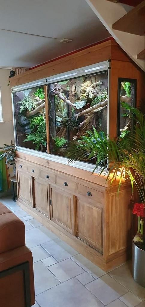 Groot dubbel terrarium met 3D achterwand, bovenkast, Ophalen