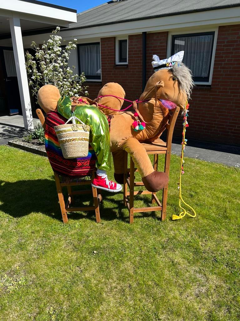 Carnavalskostuum Kameel, Ophalen, Carnaval, Maat 46/48 (XL) of groter, Accessoires