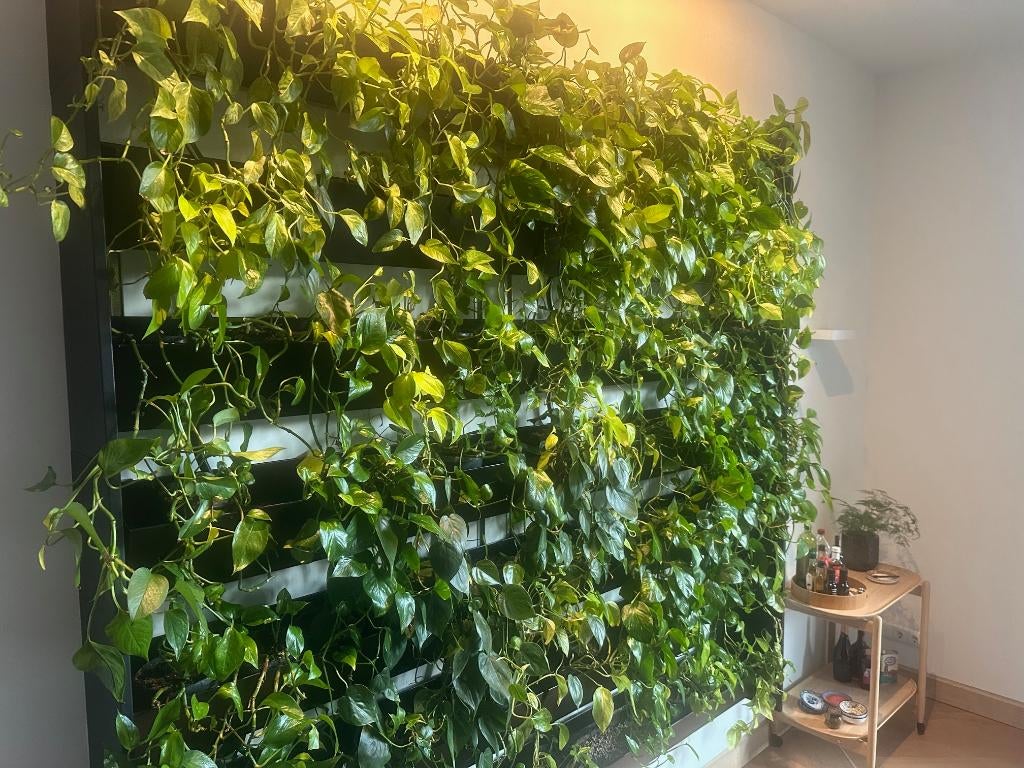 Plantenwand / Greenwall, Ophalen, Kunststof, Gebruikt, Binnen