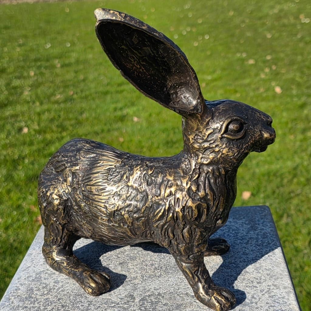 HAAS / bronzen tuinbeeld / brons, Dierenbeeld, Nieuw, Info@huisentuindecoratiemarie.nl, Huis en tuin decoratie marie