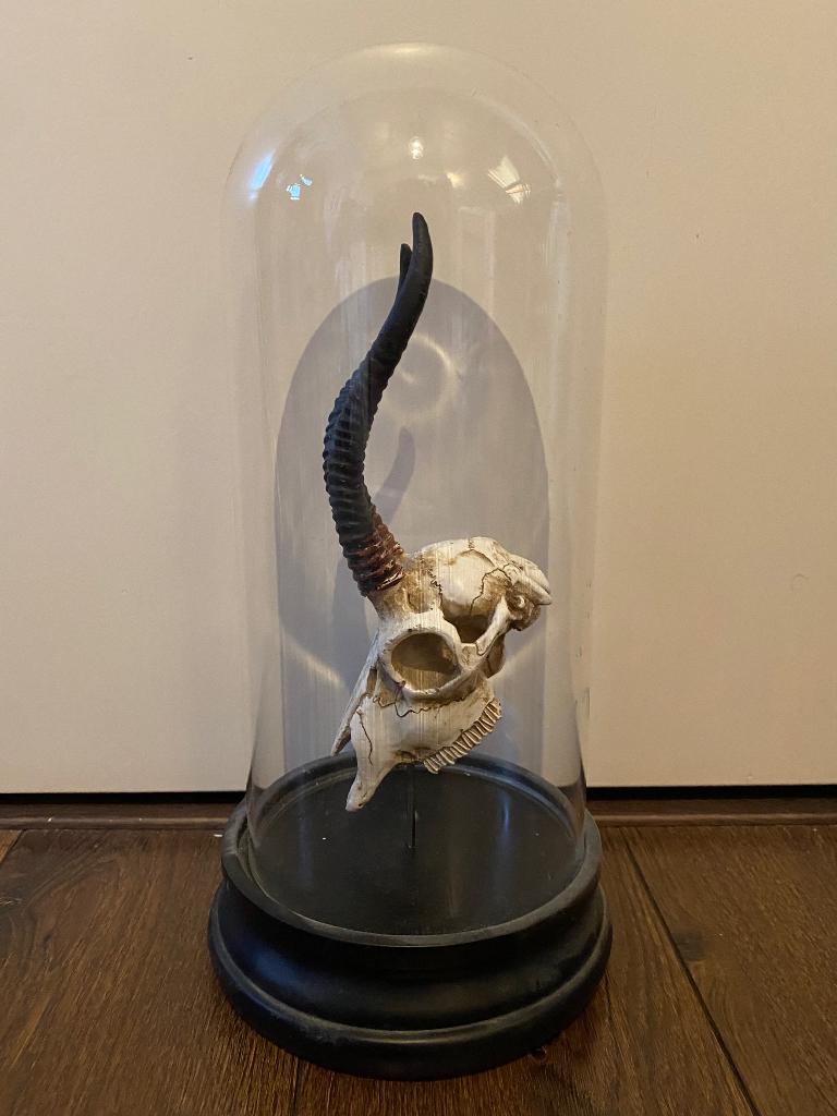 Stolp met decoratieve schedel, Ophalen, Zo goed als nieuw