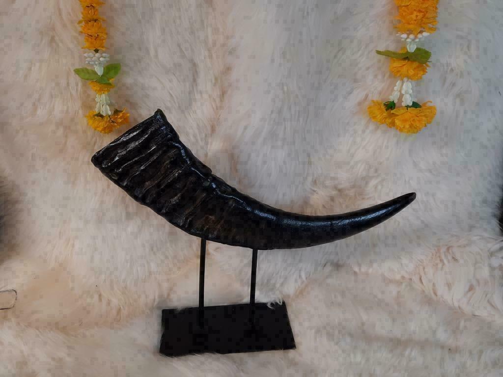 Prachtige Waterbuffel Hoorn op Luxe Stalen Voet