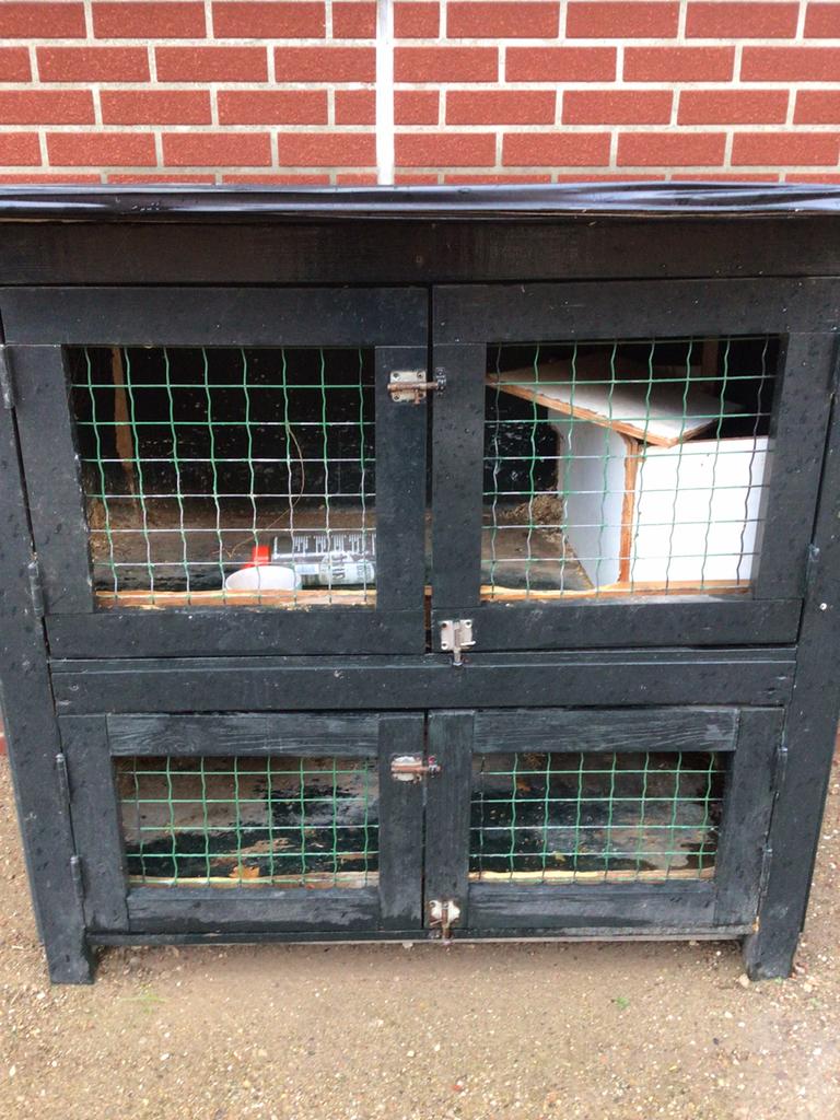 Dubbel en leeg konijnenhok, Dieren en Toebehoren, Knaagdieren en Konijnen | Hokken en Kooien, Ophalen, Gebruikt, 90 cm of meer