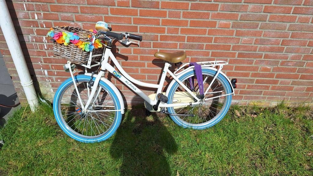 Alpina fiets 22inch, Fietsen en Brommers, Ophalen, Gebruikt, 22 inch