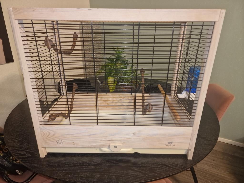 Vogelkooi ferplast, Dieren en Toebehoren, Vogels | Hokken en Kooien, Ophalen, Metaal, Vogelkooi